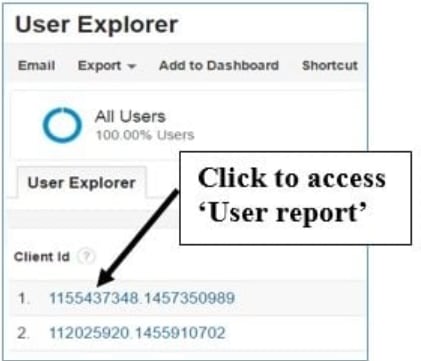 User explorer: User Report View